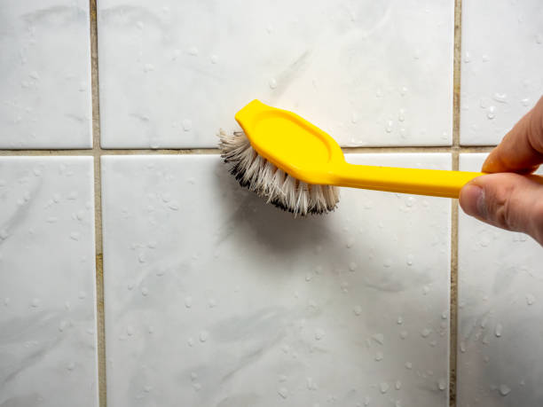Best Local Mold Removal Service  in Norwood, NC