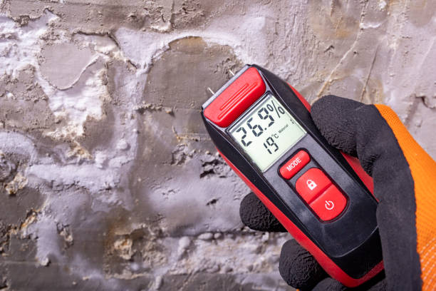 Best Mold Remediation Services  in Norwood, NC