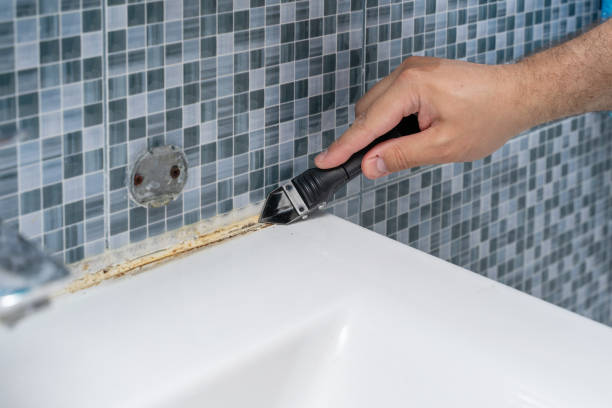 Best Mold Removal Near Me  in Norwood, NC