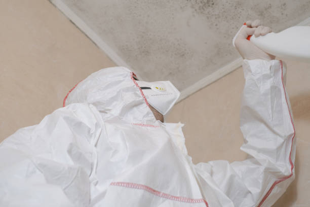 Mold Removal Process in Norwood, NC