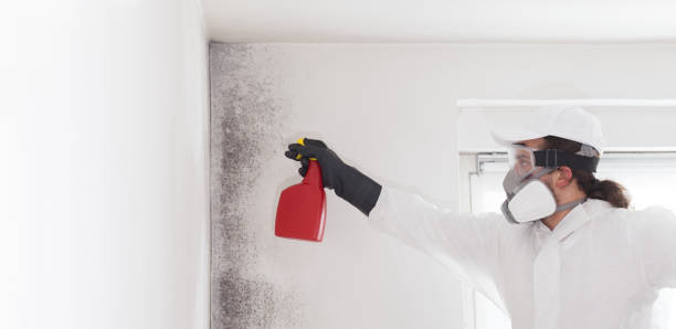 Best Residential Mold Removal  in Norwood, NC