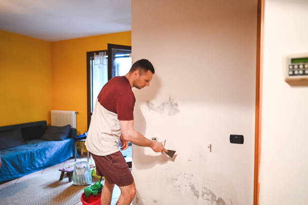 Best Same-Day Mold Removal  in Norwood, NC