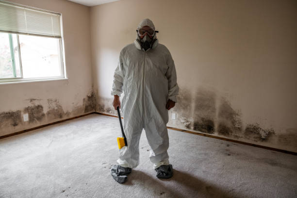 Best Mold Remediation  in Norwood, NC